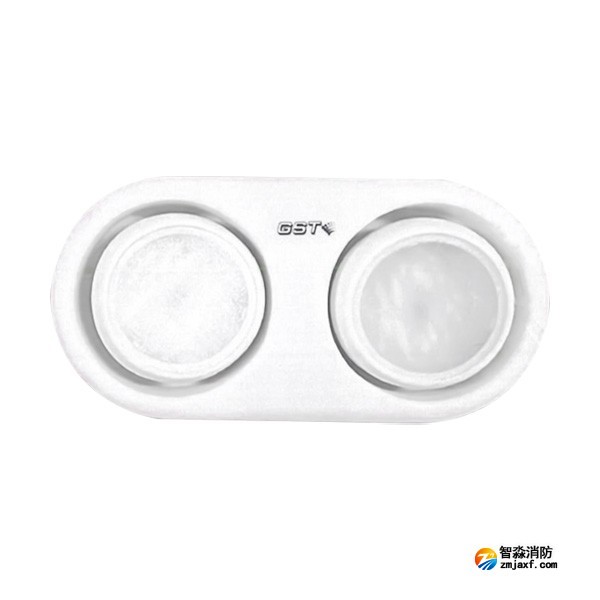 海湾HW-ZFJC-E3W-YN663集中电源集中控制型亚星(官方网)平台·游戏登录入口应急照明灯具（3W双头灯）