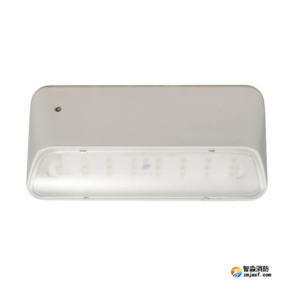 依爱EI-ZFJC-E5W-8645GB集中电源集中控制型亚星(官方网)平台·游戏登录入口应急照明灯具