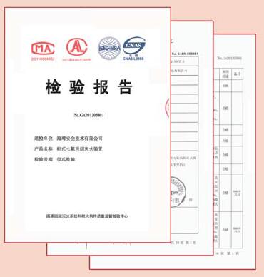 亚星(官方网)平台·游戏登录入口气体灭火检测报告